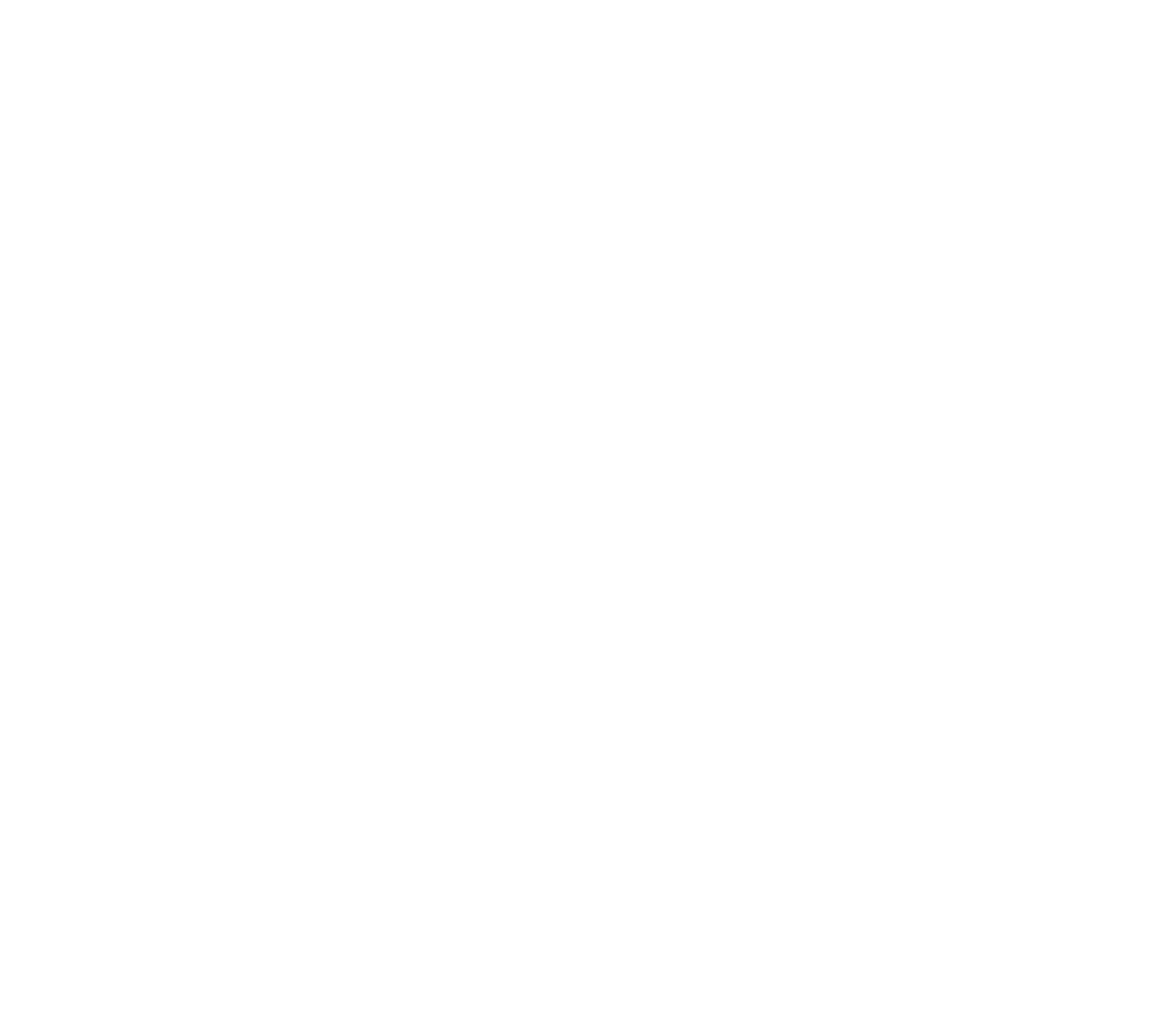 Roho logo white